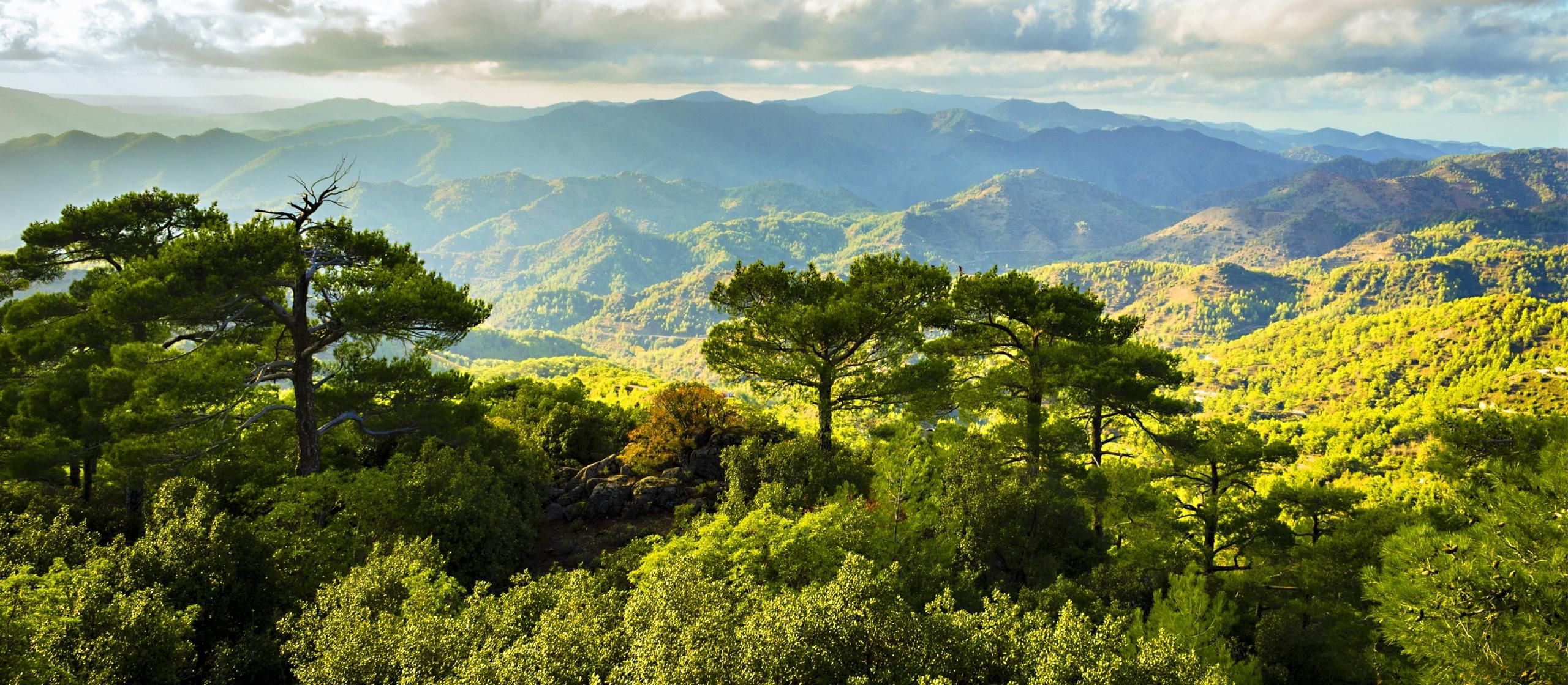 Scenic view of the Troodos Mountains in Cyprus, featuring lush green forests, rocky peaks, and clear blue skies. The natural landscape showcases the beauty of Cyprus's largest mountain range, ideal for hiking and outdoor activities.